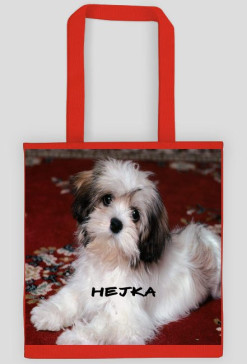 Hejka