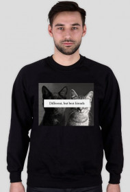 cat sweatshirt