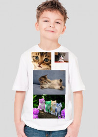 Koszulka koteczki dla mniejszych