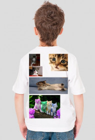 Koszulka koteczki dla mniejszych