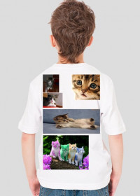 Koszulka koteczki dla mniejszych