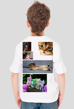 Koszulka koteczki dla mniejszych