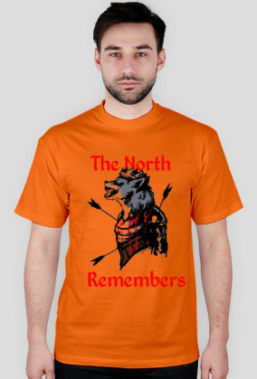 "The North Remembers" T-shirt męski