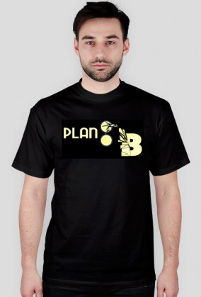 Plan B Skateboards