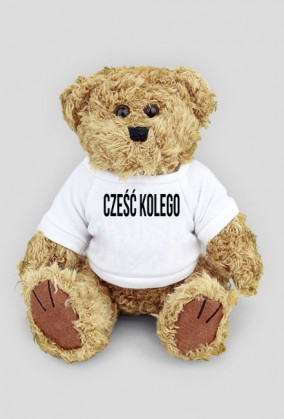 Miś - Cześć kolego