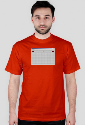 WINDOWS SAPER