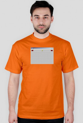 WINDOWS SAPER