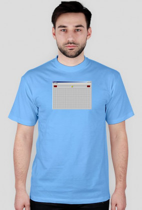 WINDOWS SAPER