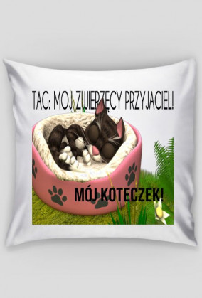 PODUSZENCJA Z KOCIAMBREM!