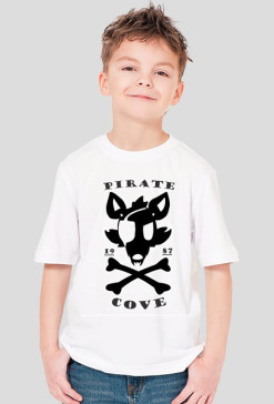 FNaF Pirate Cove