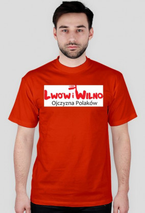 LWÓW I WILNO