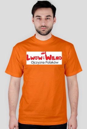 LWÓW I WILNO
