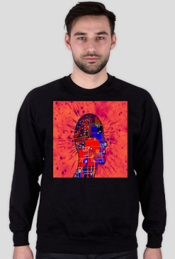 bluza