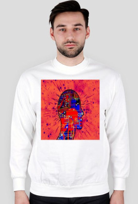 bluza