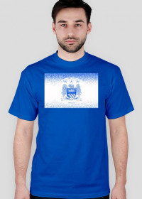 Manchester City Shirt #3