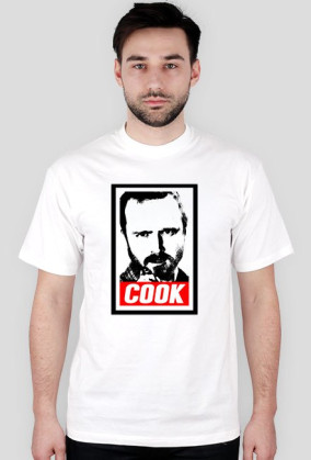 Jesse pinkman cook