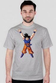 Dragon ball One