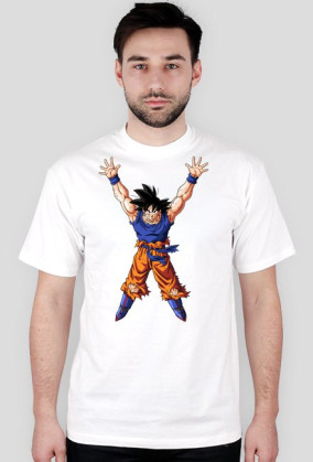 Dragon ball One