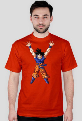 Dragon ball One