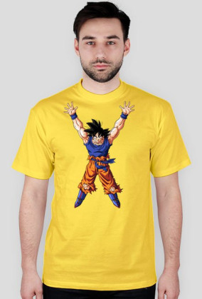 Dragon ball One