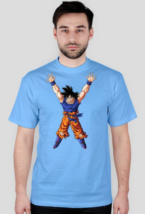 Dragon ball One