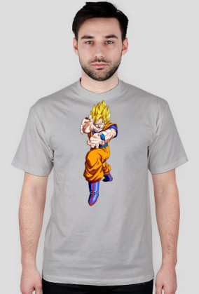 Vegeta Pwoer