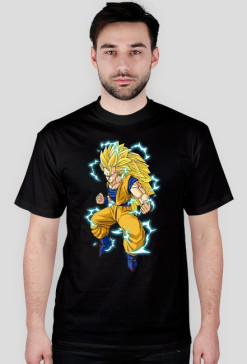 Dragon ball V