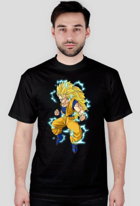 Dragon ball V