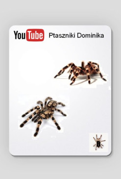 Podkładka pod myszkę z ptasznikami