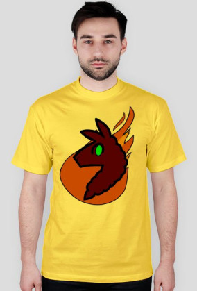 LamaFire Team