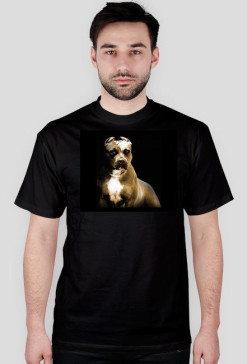 pitbull