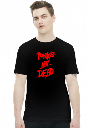 Punks not dead