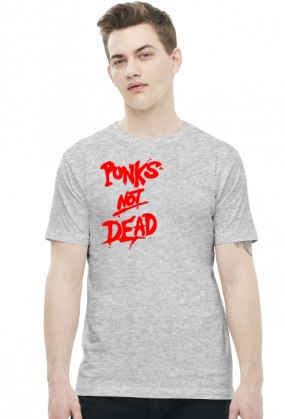 Punks not dead