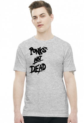 Punks not dead_02