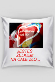 Poduszka z nadrukiem