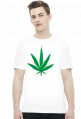 Konopia