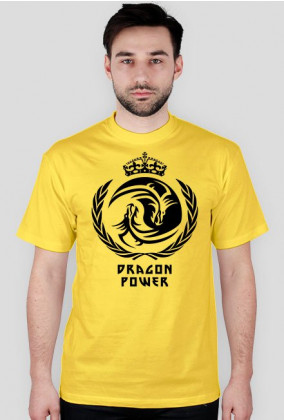 Koszula Heavy "Dragon Power" 7 Kolorów