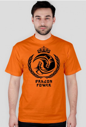 Koszula Heavy "Dragon Power" 7 Kolorów