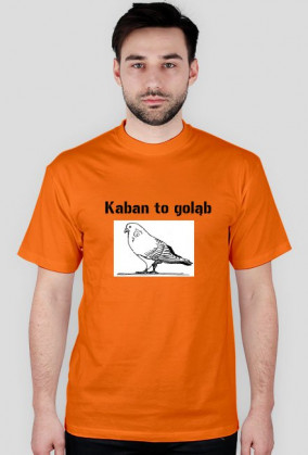 Gołąb
