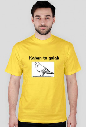 Gołąb
