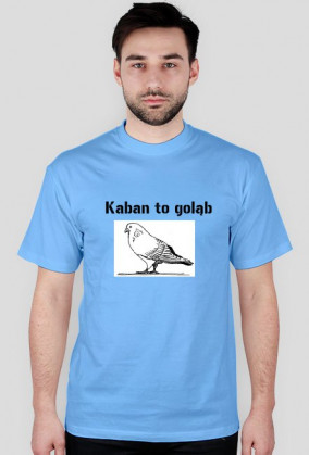 Gołąb