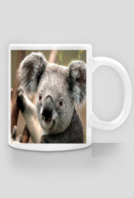 Kubek z Koalą