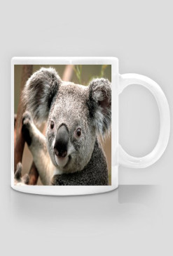 Kubek z Koalą