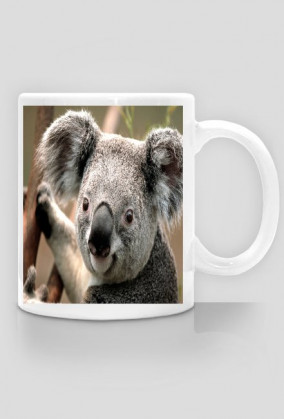 Kubek z Koalą