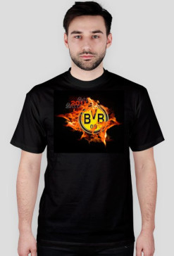 B V B 0 9