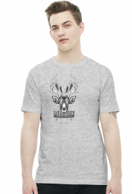 Baratheon