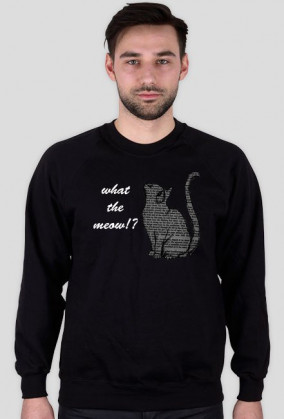 Gambit-What the meow!?-01