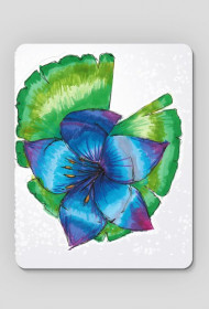 fioletowa lilia podkładka