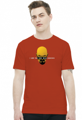 I am the one who knocks