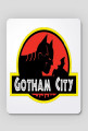gotham city